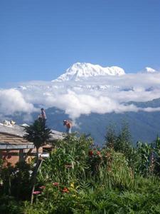 dentistry-volunteering-nepal